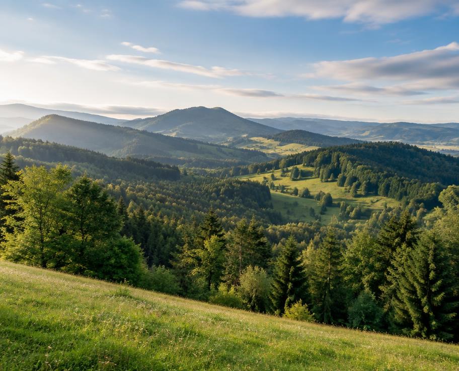 Naturpark Südschwarzwald